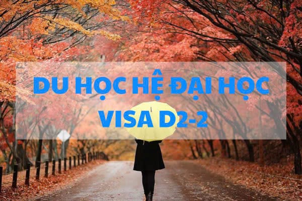 du-hoc-han-quoc-he-dai-hoc